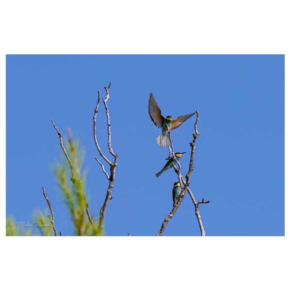 PHOTO84, CLUB, 84 , LUBERON